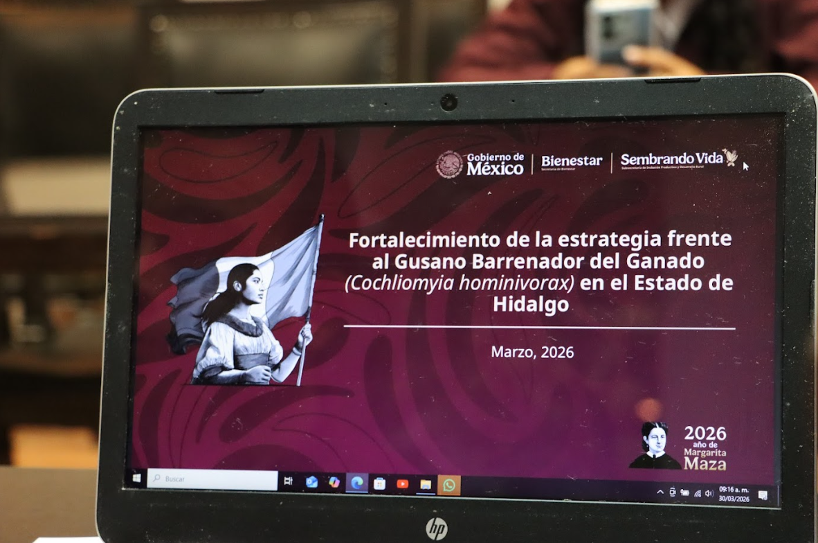 Fortalece Hidalgo estrategia para control y erradicación del gusano barrenador del ganado