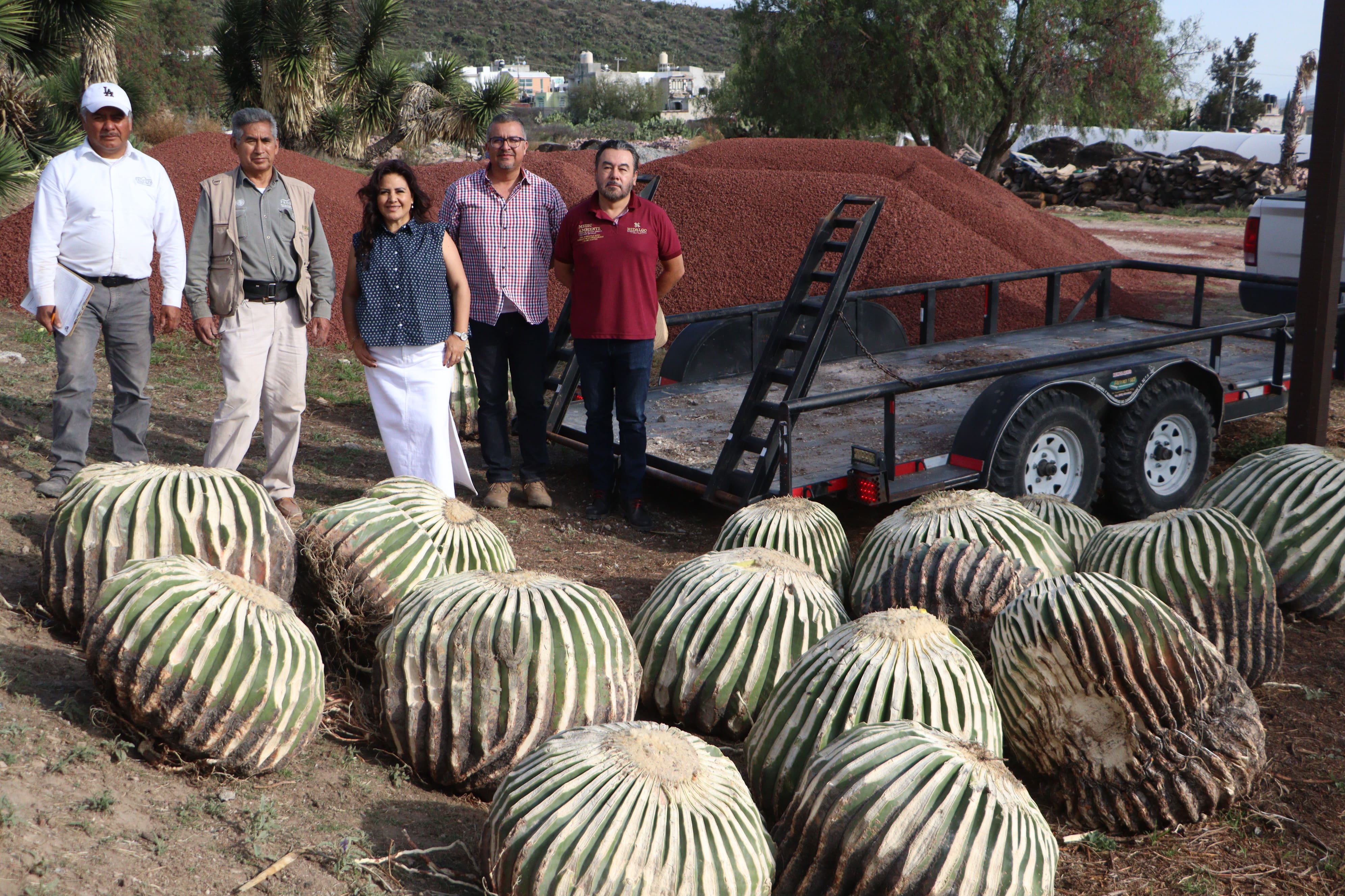 Biznagas aseguradas en San Salvador son trasladadas al Parque Ecológico Cubitos para su conservación