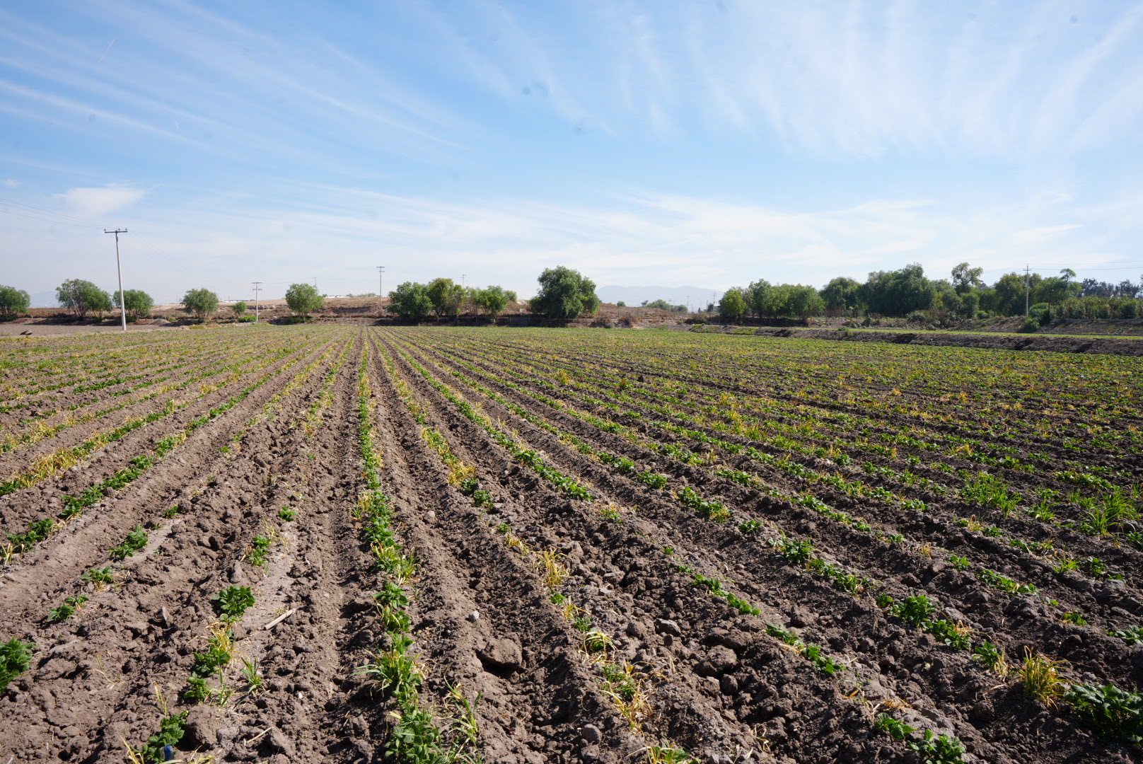 UPLAPH impulsa proyectos en beneficio de productores agrícolas del Valle del Mezquital