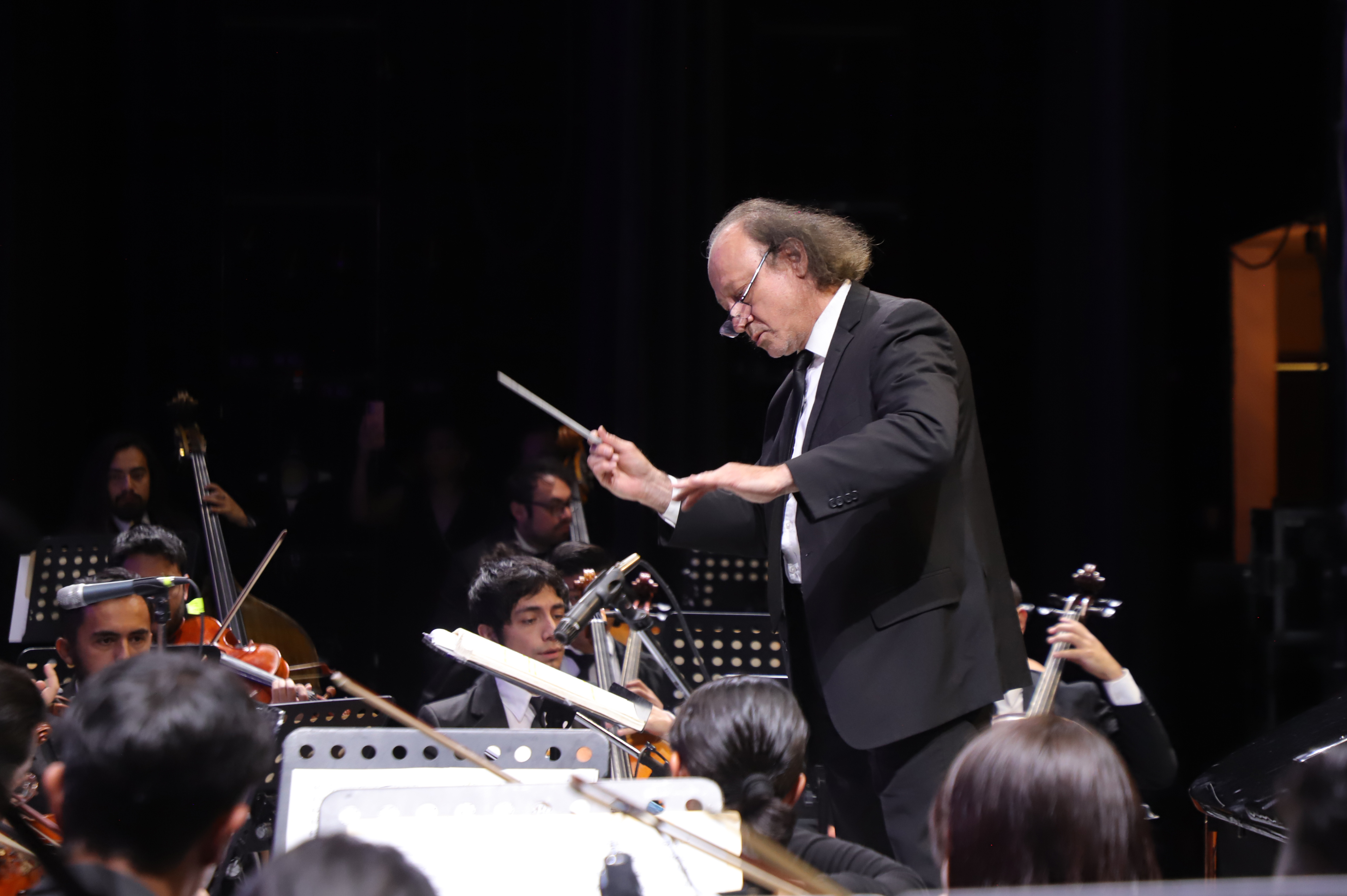 OSEH presentará una velada dedicada a Bruckner, Schickele y Brahms